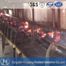 High Temperature Heat Resistance Conveyor Belt for Coal Power Plant